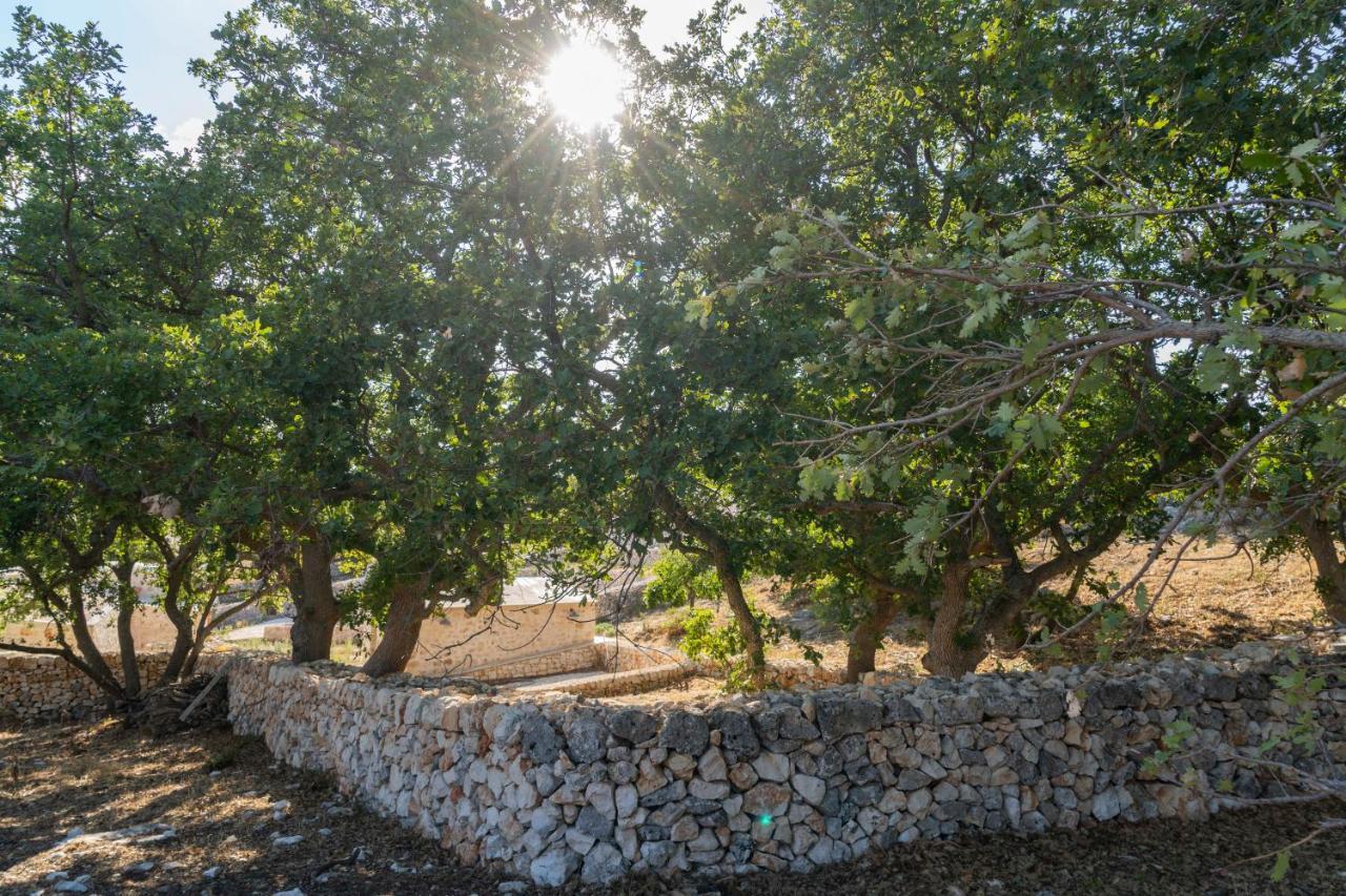 فيلا Donnapaola Modern Farm ألتامورا المظهر الخارجي الصورة