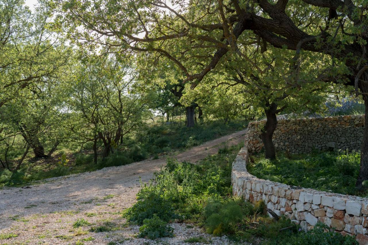 فيلا Donnapaola Modern Farm ألتامورا المظهر الخارجي الصورة