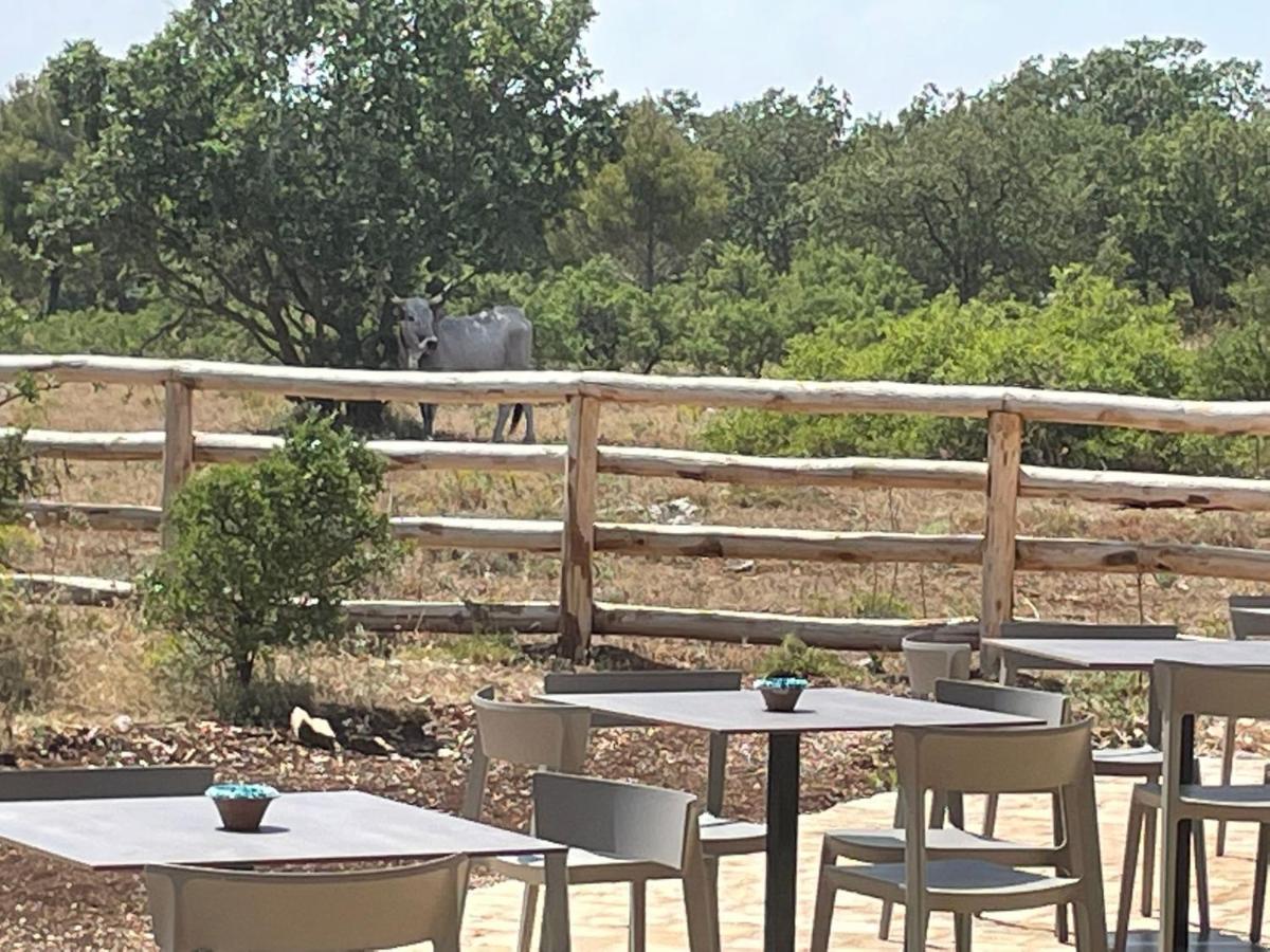 فيلا Donnapaola Modern Farm ألتامورا المظهر الخارجي الصورة